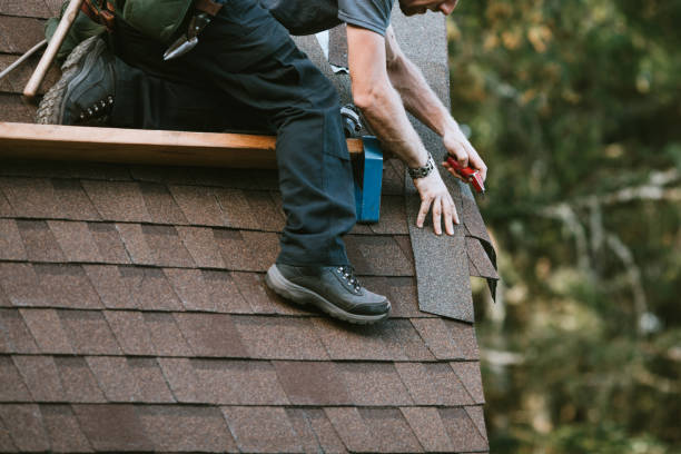 Best Roof Gutter Cleaning  in Pioneer, CA